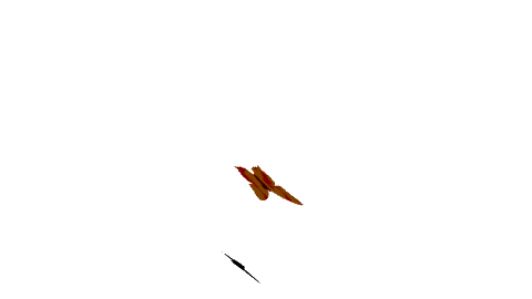 wpd7a533d9.gif